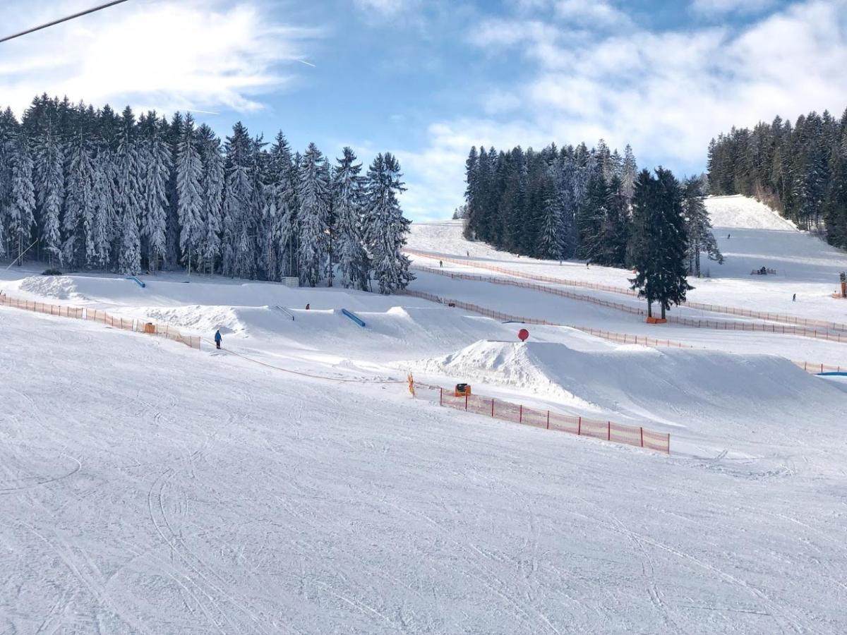 Hotel Fontána Lipno Černá v Pošumaví Esterno foto