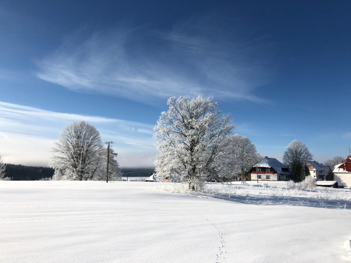 Hotel Fontána Lipno Černá v Pošumaví Esterno foto