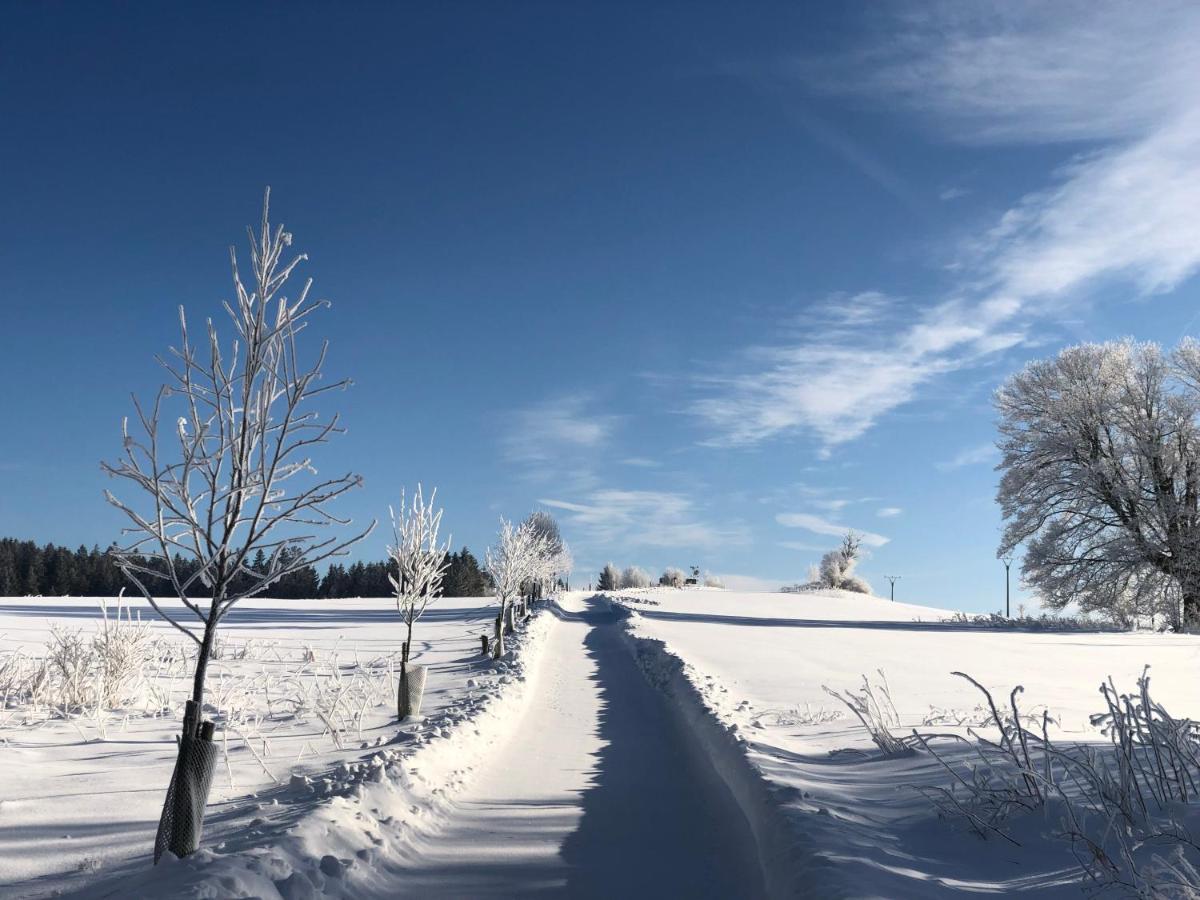 Hotel Fontána Lipno Černá v Pošumaví Esterno foto